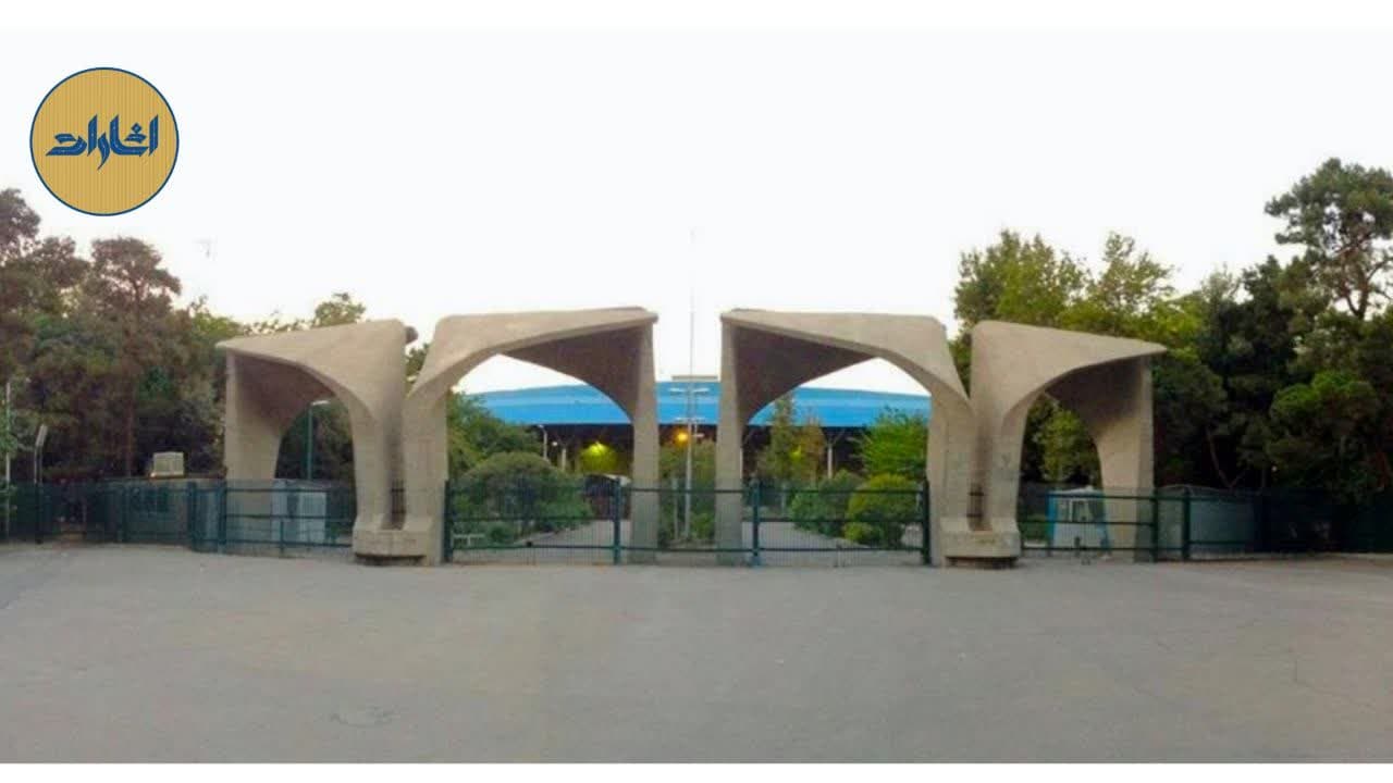 ظهور نوپهلوی‌چی ها در علوم انسانی